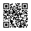 下载利器IDM v6.42.41绿色版