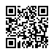 下载利器IDM v6.43.11绿色版
