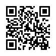 下载利器IDM v6.43.16绿色版