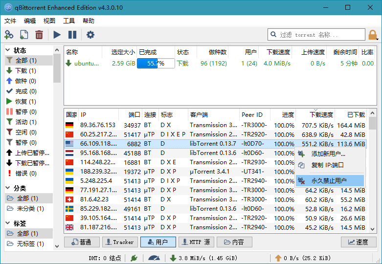 BT下载利器qBittorrent 4.6.2.1便携增强版