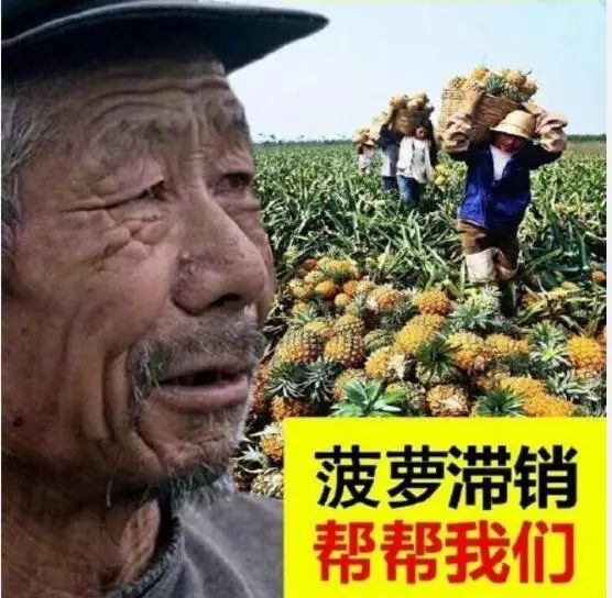 恶搞网红大爷货物滞销生成图片